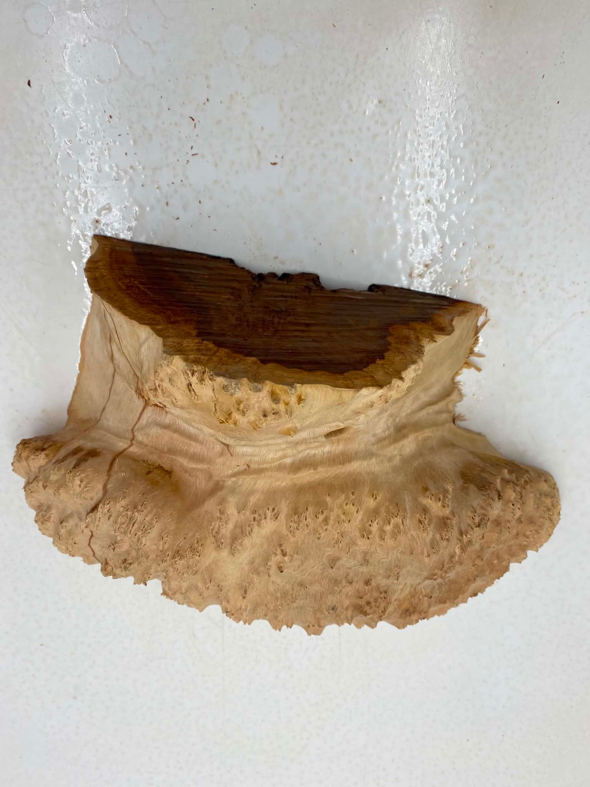 Red Mallee Burl 300 x 210 x 90mm