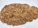 Red Mallee Burl 400mmx280mmx60mm