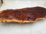 Red Mallee Burl 550x220x50mm