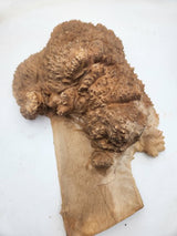 Red Mallee Burl 500x240x100mm