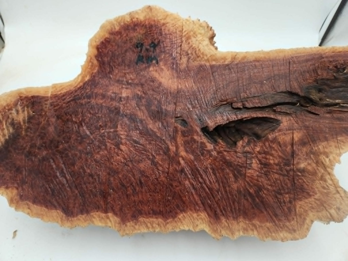 Red Mallee Burl 500x240x100mm