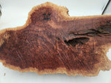 Red Mallee Burl 500x240x100mm