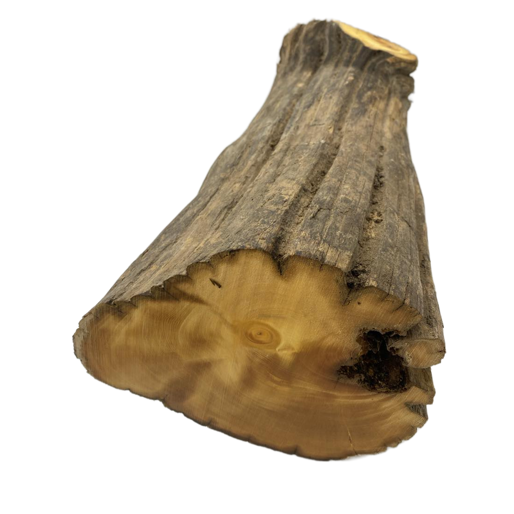 Huon Pine Log 590 x 240 x 190mm